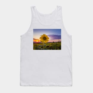 Sunflower against sunset Tank Top